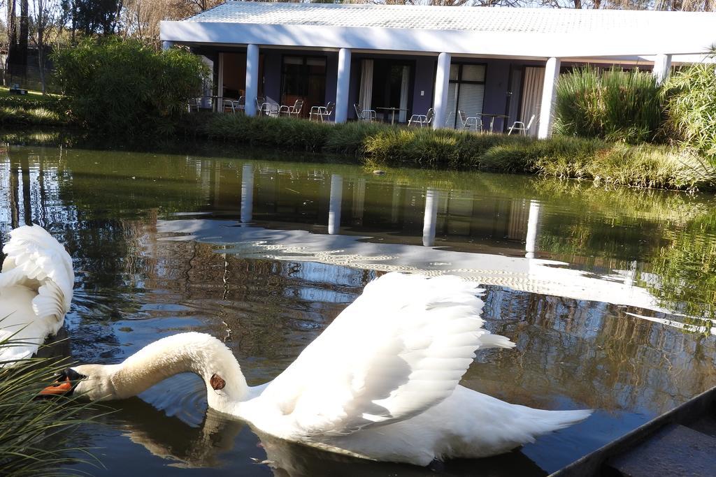 Willow Place Guest House Midrand Bagian luar foto
